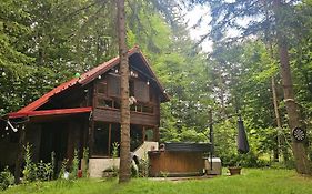 Misha'S House